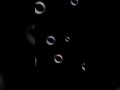 【歌ってみた】儚くも美しいのは/和楽器バンド