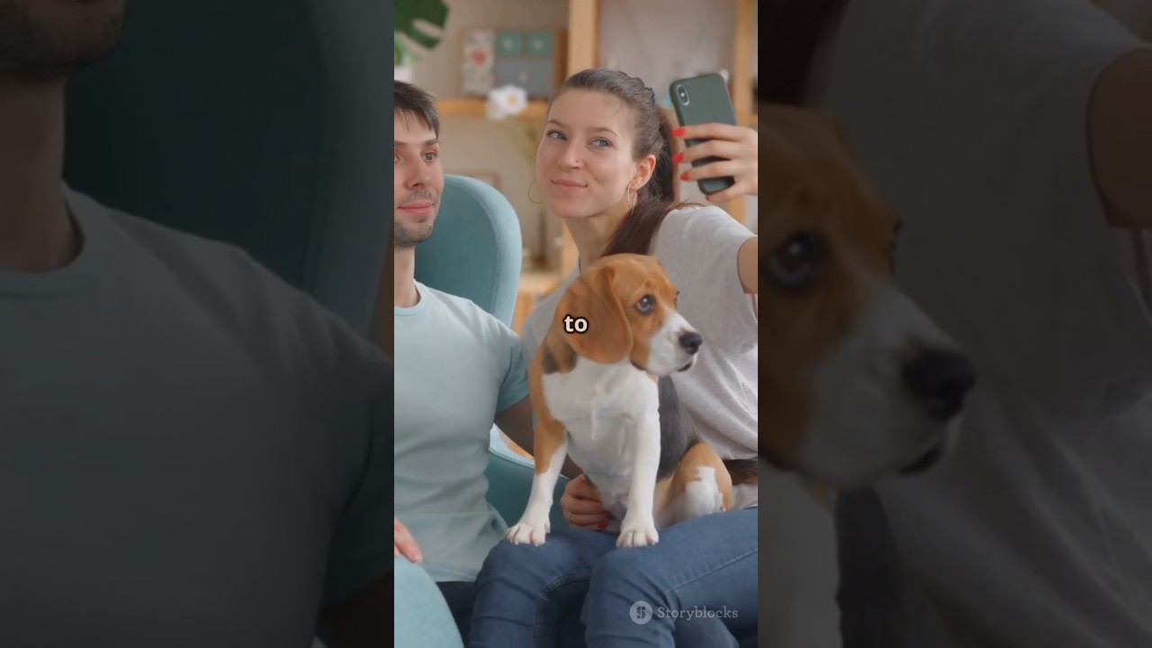 Какие продукты питания, предназначенные для людей, безопасны для вашего питомца?