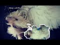 MY SNORING DOG🐶| HRACH |