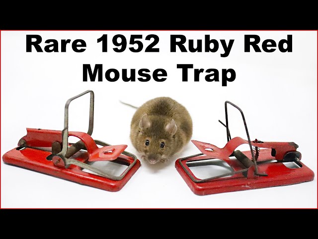 The MOUSEMOBILE - The Rarest and Most Valuable Antique Mouse Trap