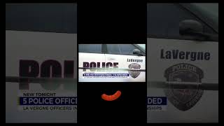 Maegan Hall La Vergne Police Lawsuit