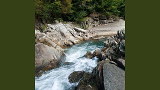 Water Soft Flow