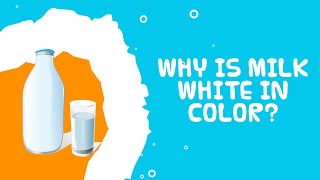 Why is milk white? - Interesting facts about milk for kids