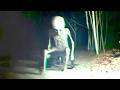 Most Disturbing Creatures Captured By Hidden Cameras