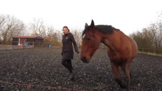 Straightness Training Liberty Grade 4 - Lesson 1