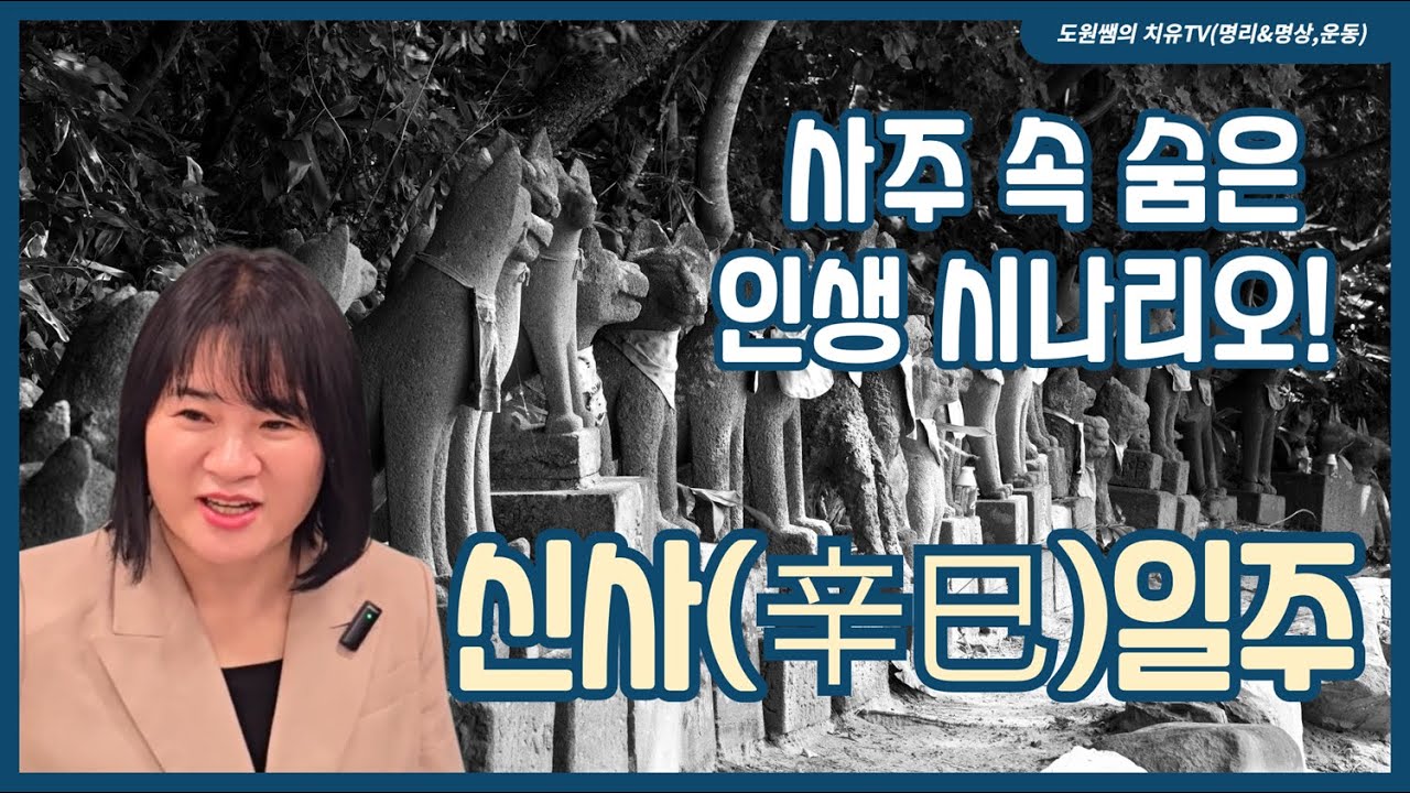 신사일주 | 사주 속 숨은 인생 시나리오!! | 일주론