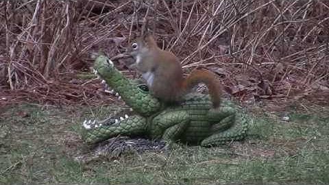 Audio Visual Catnip December 2016