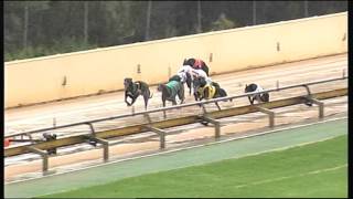 HVL SUN 08 MAY 16 R12