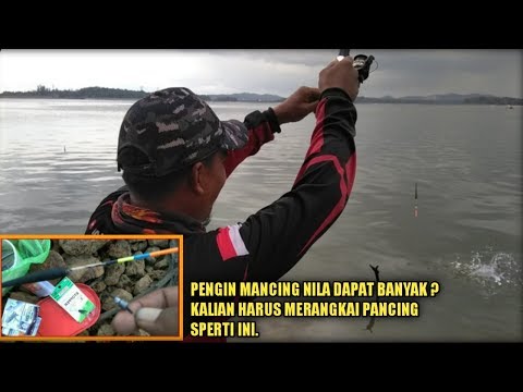 pemancing-nila-wajib-merangkai-pancing-sperti-ini-biar-dapat-nila-banyak.