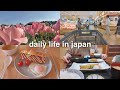 Living in Japan Daily Life Vlog 🇯🇵 Grocery Shopping, Cooking and Seeing Tulips 🌷