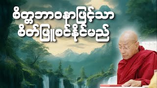 ပါမောက္ခချုပ်ဆရာတော်ကြီး‌ဟောကြားသောစိတ္တဘာဝနာဖြင့်သာစိတ်ဖြူစင်နိုင်မည်တရားတော်