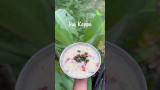 Paal Kappa #kerala#food#recipe#pal#kappa#dubai#cooking#malayalam