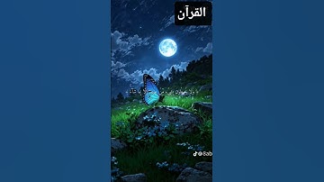 احترم القرآن الكريم ٤١ ثانيه