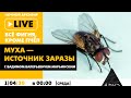 Ночной АРХЭфир "Все фигня, кроме пчел". Тема: "Муха — источник заразы".