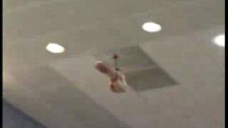 Flying RC Penis