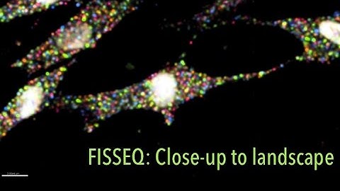 FISSEQ: Close-up to landscape