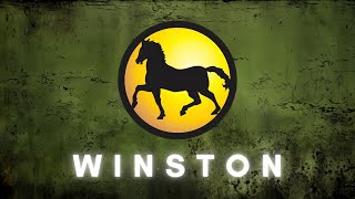 WINSTON - A Cyberpunk Synthwave Mix for Mechwarriors of the Eridani Light Horse