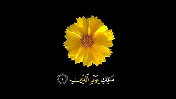 صباح الخير 🌼 اجمل حالات واتس اب🌼مقاطع انستجرام🌼 قرآن كريم🌼 سورة الفاتحه🌼بصوت سعد الغامدي🌼 بدون حقوق
