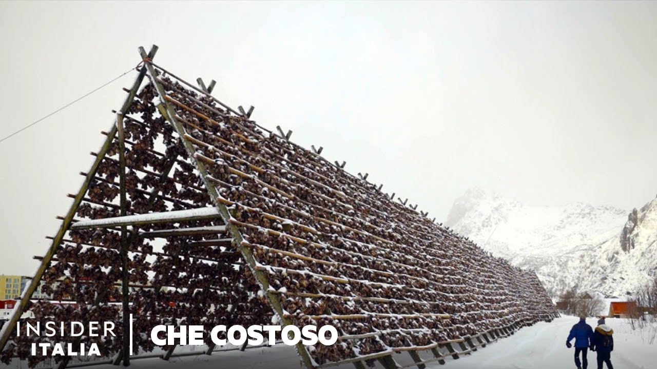 Perché Lo Stoccafisso È Così Costoso | Che Costoso - Cibo | Insider Business