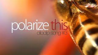 Polarize This