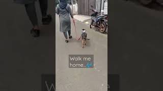 Aunty Walk Me Home