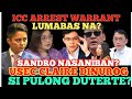 YARE! AARESTUHIN NA SI BONG GO?SANDRO MAY SINUPALPAL NA REPORTER