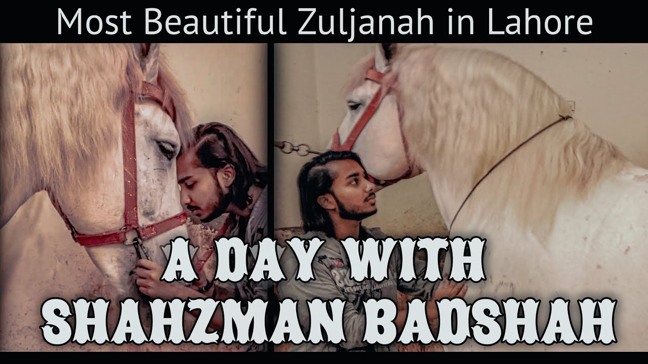 День с Шахзманом Бадшахом | Самая красивая Зульджана в Лахоре | Видеоблог