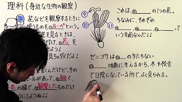 葉一理科 1年