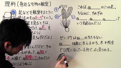 とある男が授業をしてみた