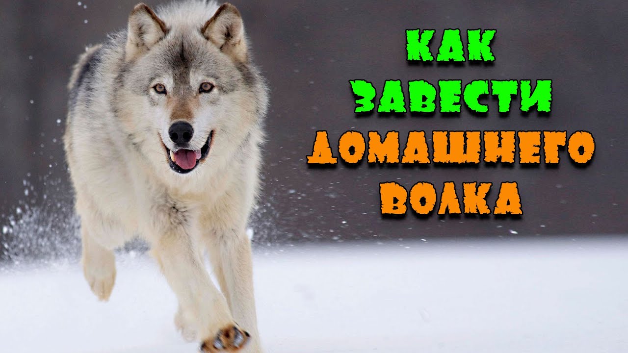 Как завести волгу