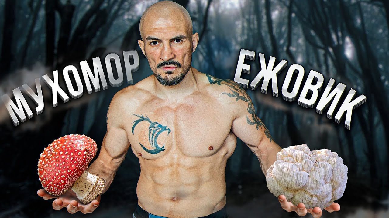 МУХОМОР И ЕЖОВИК - ВРЕД? МОЙ ОПЫТ