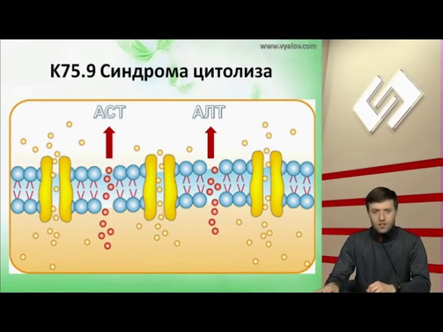 Синдром цитолиза