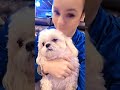 this one here, this one does nothing but loves