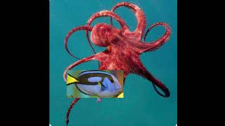 Finding dory live action remake dory meets hank