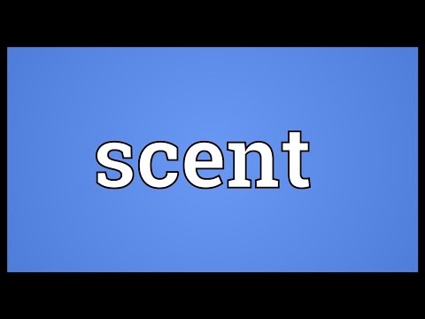 Scent Meaning