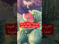 الكرم عدنا يختلف عن غيرنا احنا حتى الطير ياكل خيرنا العراق اكسبلور الكرم عدنا يختلف عن غيرنا احنا حتى الطير ياكل خيرنا العراق اكسبلور