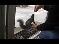 Earn that Reward with a Little Helping Hand - Ken feeds a squirrel a Costco peanut in his backyard.