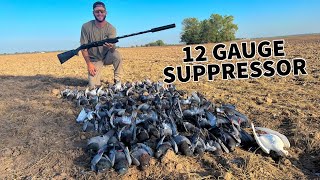Insane Pigeon Hunt Warm Up for Dove Season 2023!! 82 Birds