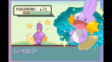 Shiny Mudkip in Ruby after only 91 Soft Resets! (HSQ#2)