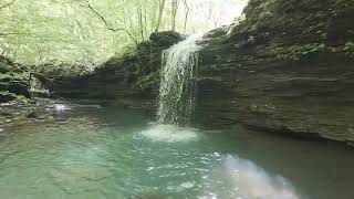 Swamp Falls  Arkansas