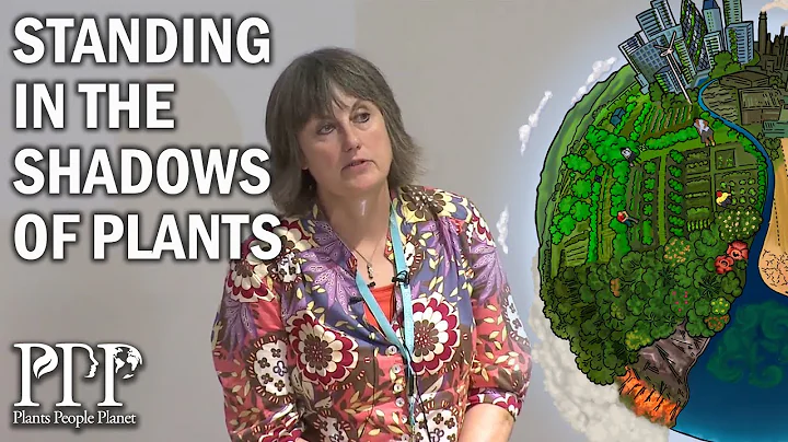 Dawn Sanders: Standing in the shadows of plants