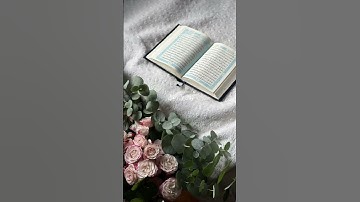 القرآن الكريم||وقال آني ذاهب إلى ربي سيهدين||القارئ رعد الكردي||القرآن🌸🤍||