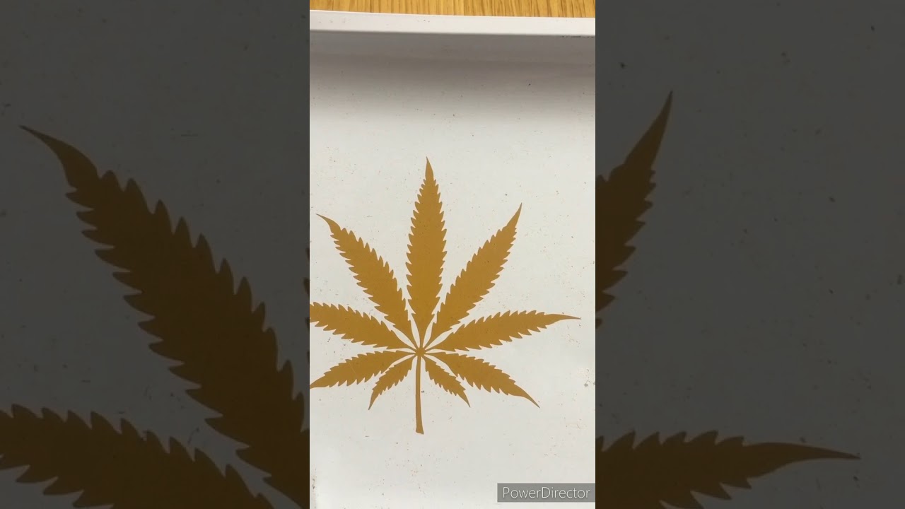 🙏 BUZZING BUDDHA 🙏 White Widow CBD 16% THC 0.2%🔥🔥👍