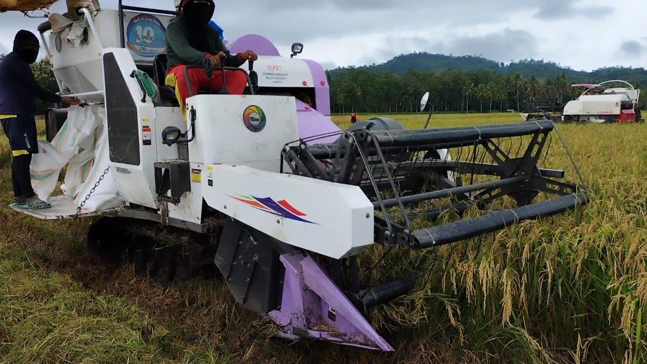 KOMBI INARI PANEN BARENG YANMAR YH 850