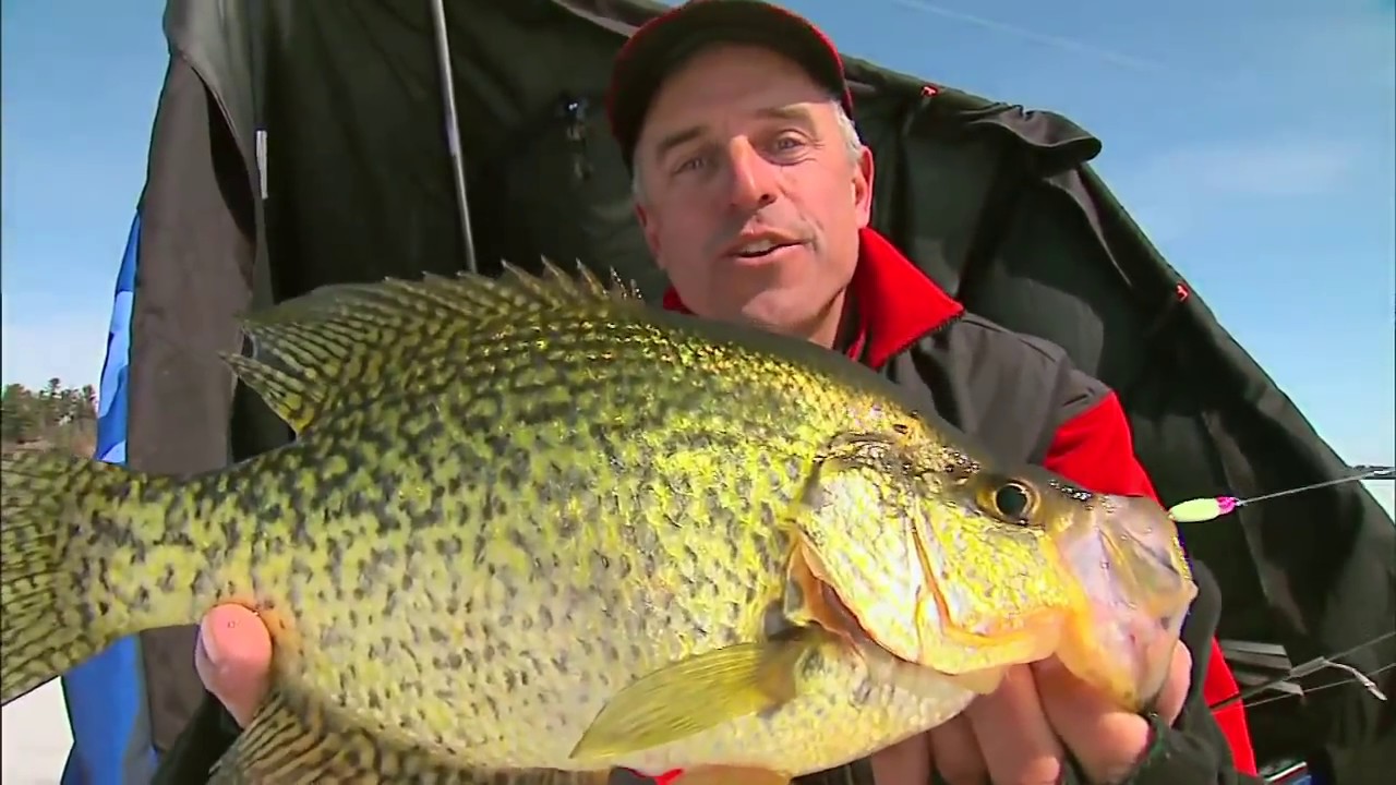 Spoonin' Crappies: The best spoons for winter crappies! 