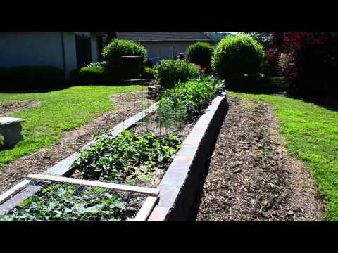 Successful Raised Bed Garden Cement Block Construction Youtube