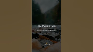 Al-Baqarah Ayat 155-156 | Mishary Rashid Alafasy | مشاري بن راشد العفاسي | سورة