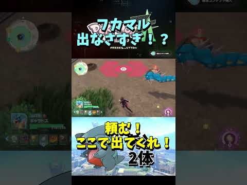改めて思ったけど、こんなにフカマル出らん？【ポケモンレジェンズZA】Part315 #ポケモンレジェンズza #ポケモン #shorts #short #モグリュー #ワルビル #フカマル #メグロコ