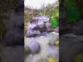 Natural shots