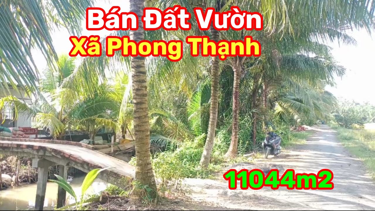 Thành Hiếu Nhà Đất Cầu Kè, Vĩnh Long. Bán Đất Vườn Chanh Chuối Sáp. DT 11044m2. Giá 4,8 tỷ